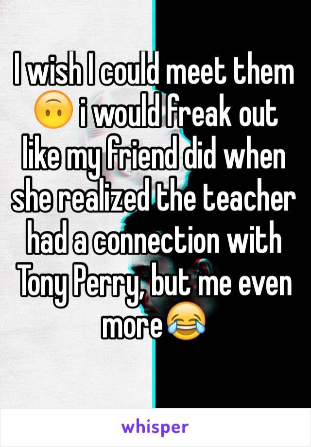 I wish I could meet them 🙃 i would freak out like my friend did when she realized the teacher had a connection with Tony Perry, but me even more😂