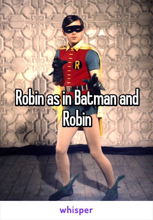 Robin as in Batman and Robin
