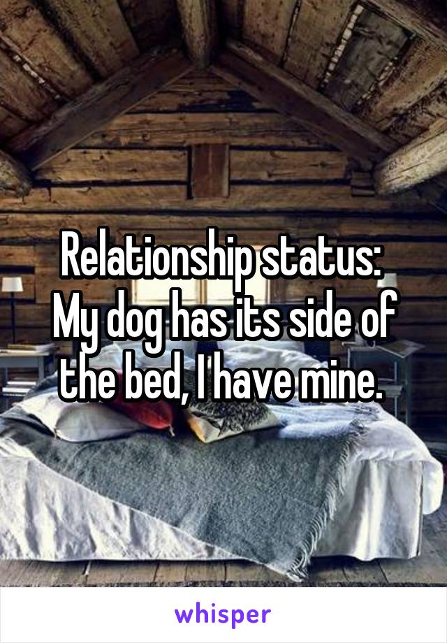 Relationship status: 
My dog has its side of the bed, I have mine. 
