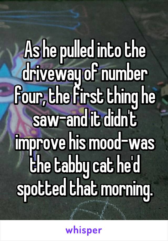 As he pulled into the driveway of number four, the first thing he saw-and it didn't improve his mood-was the tabby cat he'd spotted that morning.