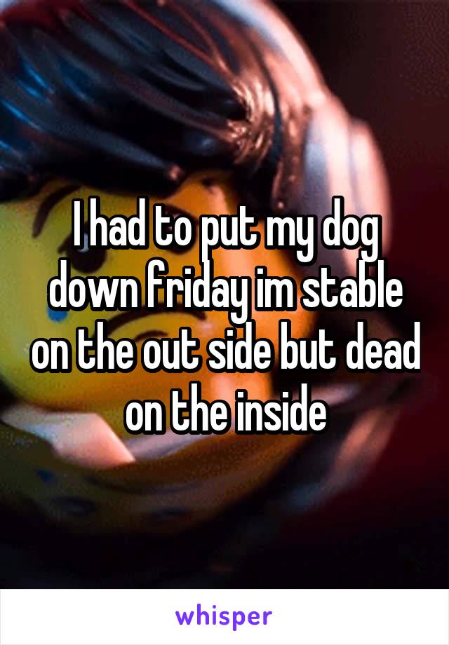 I had to put my dog down friday im stable on the out side but dead on the inside