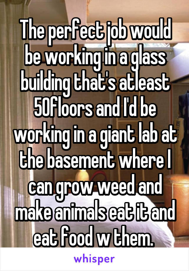 The perfect job would be working in a glass building that's atleast 50floors and I'd be working in a giant lab at the basement where I can grow weed and make animals eat it and eat food w them. 