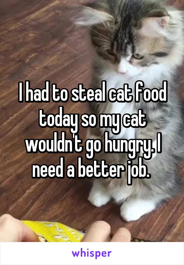 I had to steal cat food today so my cat wouldn't go hungry. I need a better job. 