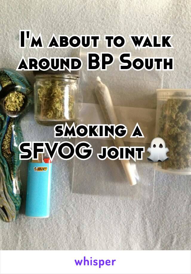 I'm about to walk around BP South


 smoking a SFVOG joint👻