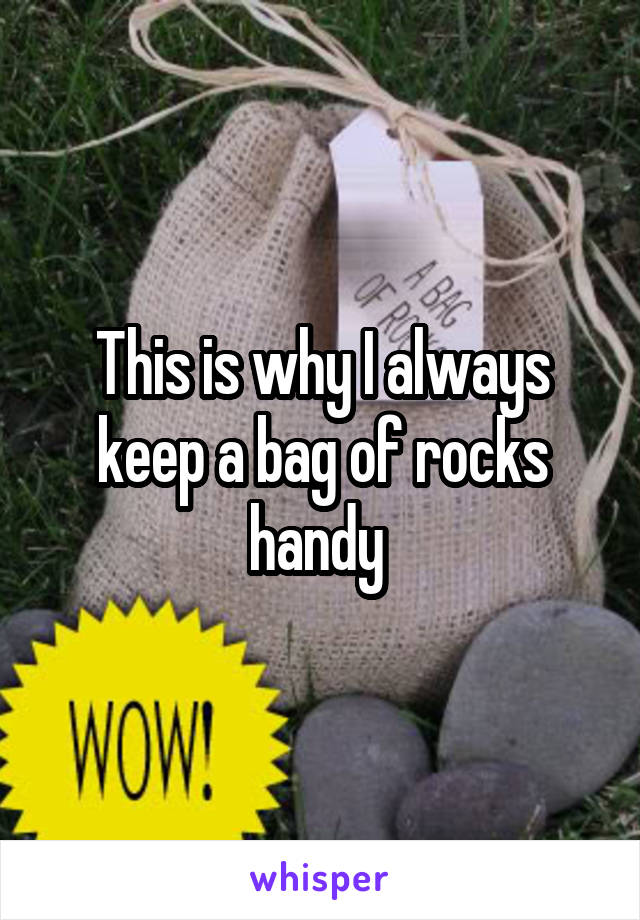 This is why I always keep a bag of rocks handy 
