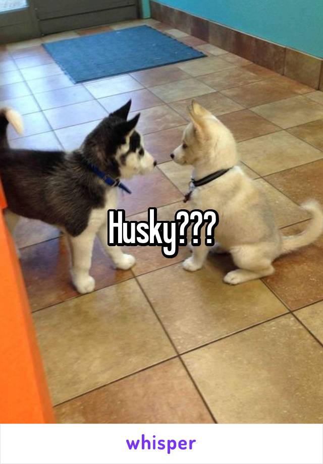 Husky???