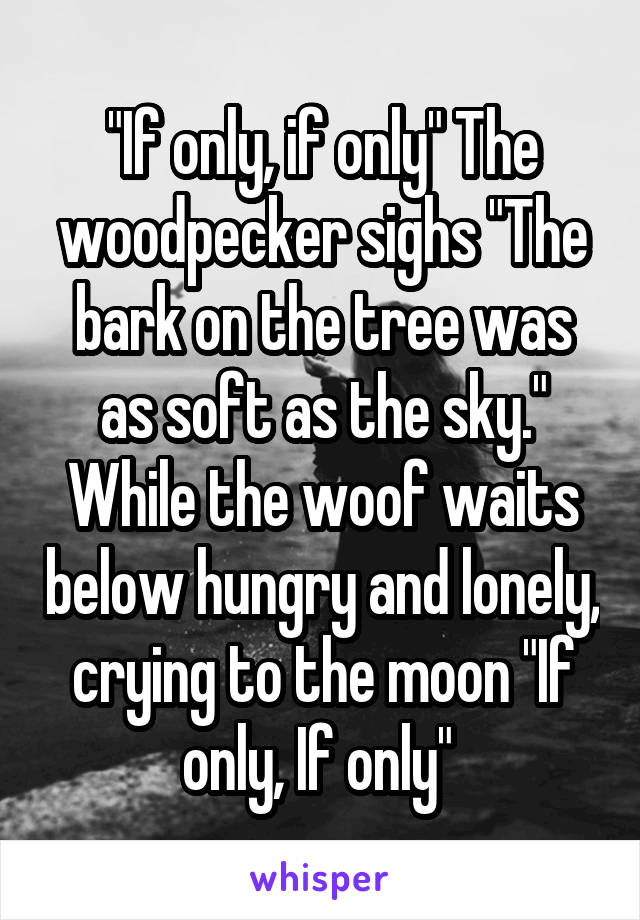 "If only, if only" The woodpecker sighs "The bark on the tree was as soft as the sky." While the woof waits below hungry and lonely, crying to the moon "If only, If only" 