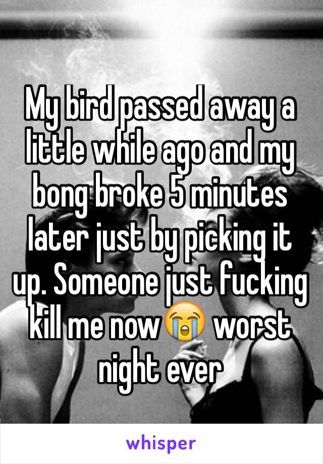 My bird passed away a little while ago and my bong broke 5 minutes later just by picking it up. Someone just fucking kill me now😭 worst night ever