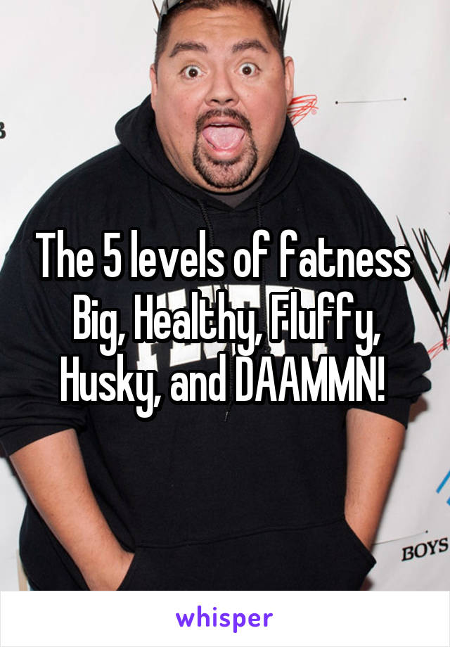 The 5 levels of fatness 
Big, Healthy, Fluffy, Husky, and DAAMMN! 