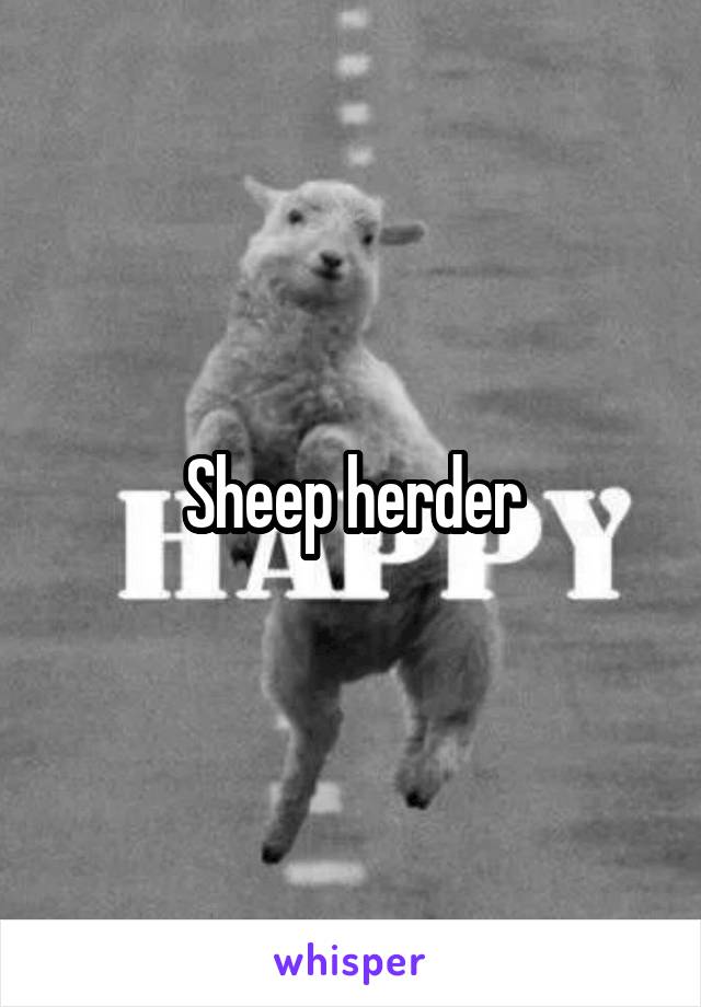 Sheep herder
