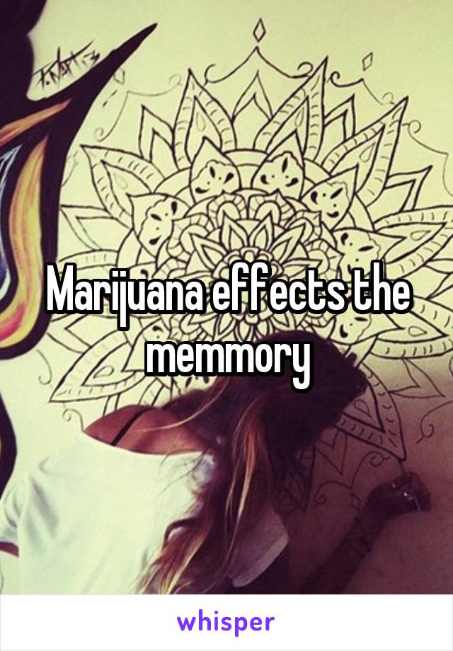 Marijuana effects the memmory
