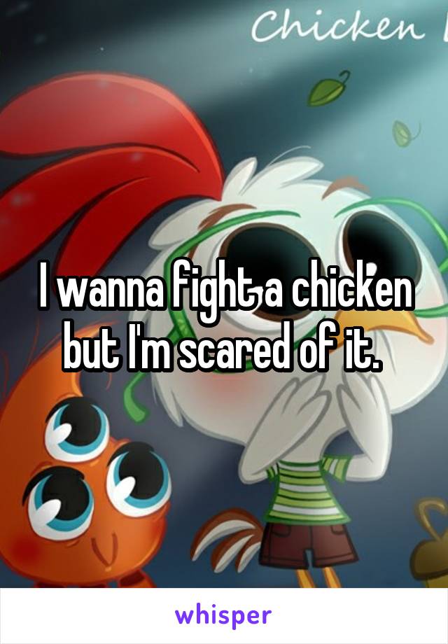 I wanna fight a chicken but I'm scared of it. 