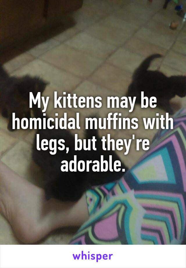 My kittens may be homicidal muffins with legs, but they're adorable.