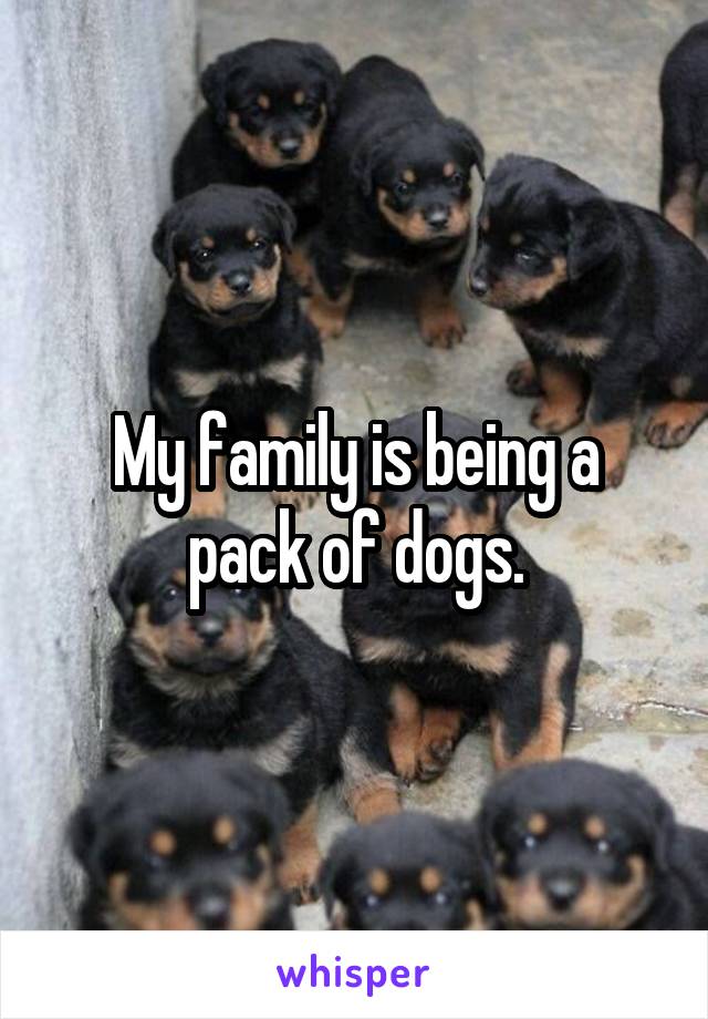 My family is being a pack of dogs.