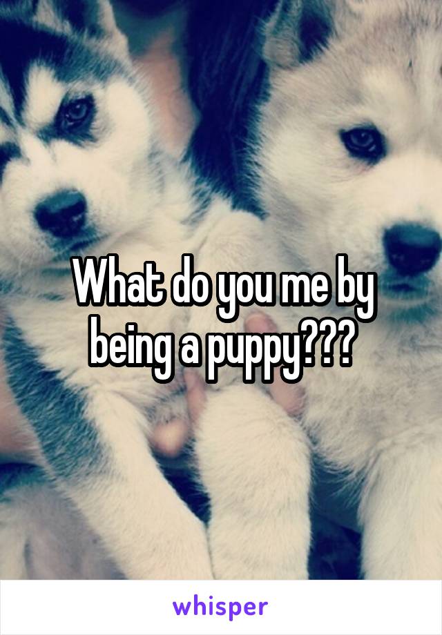 What do you me by being a puppy???