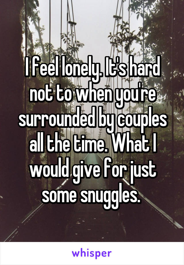 I feel lonely. It's hard not to when you're surrounded by couples all the time. What I would give for just some snuggles. 