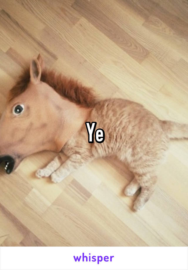 Ye