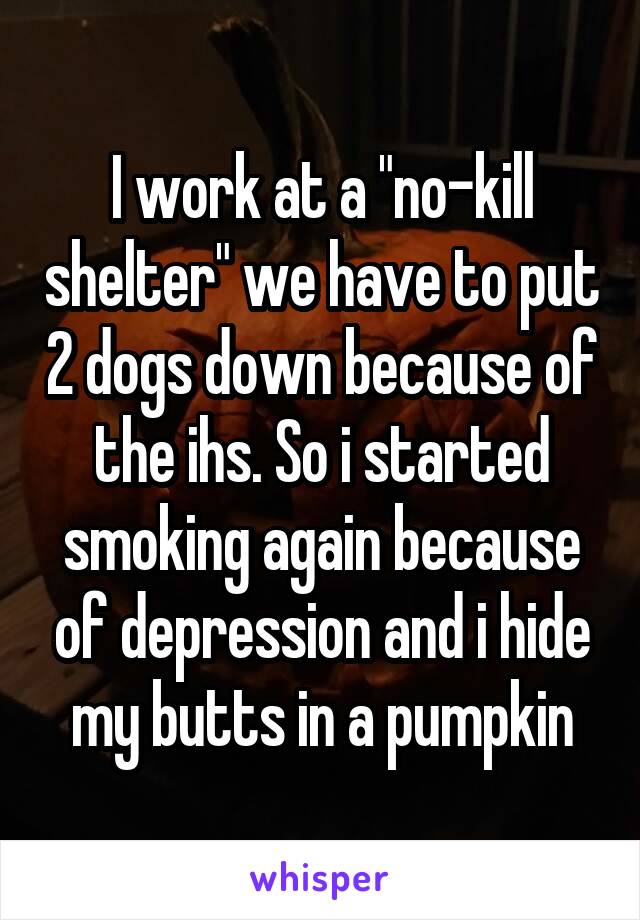 I work at a "no-kill shelter" we have to put 2 dogs down because of the ihs. So i started smoking again because of depression and i hide my butts in a pumpkin