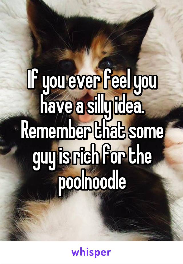 If you ever feel you have a silly idea. Remember that some guy is rich for the poolnoodle