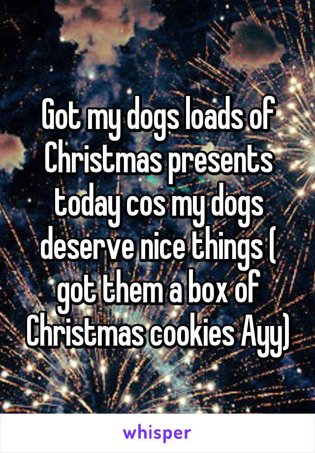 Got my dogs loads of Christmas presents today cos my dogs deserve nice things ( got them a box of Christmas cookies Ayy)
