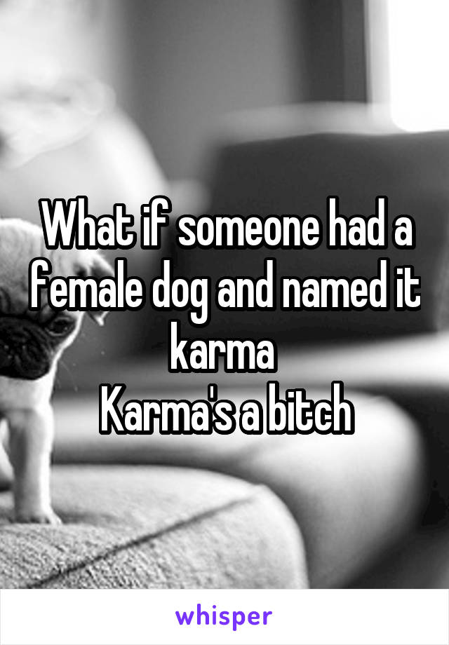 What if someone had a female dog and named it karma 
Karma's a bitch