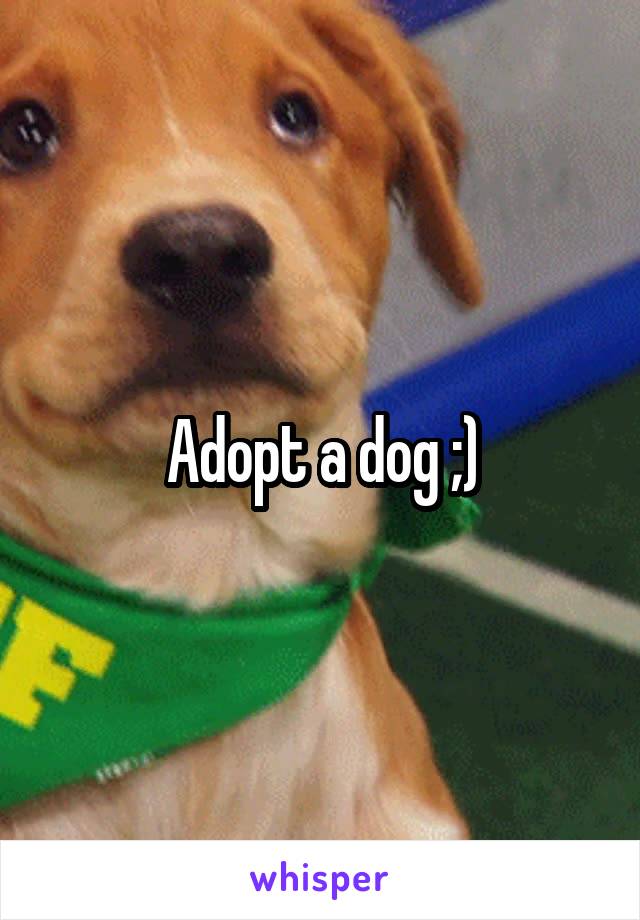 Adopt a dog ;)