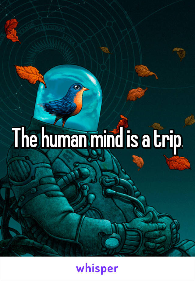 The human mind is a trip.
