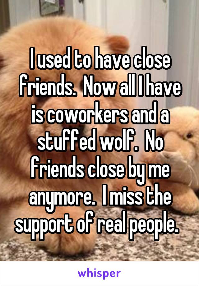 I used to have close friends.  Now all I have is coworkers and a stuffed wolf.  No friends close by me anymore.  I miss the support of real people.  