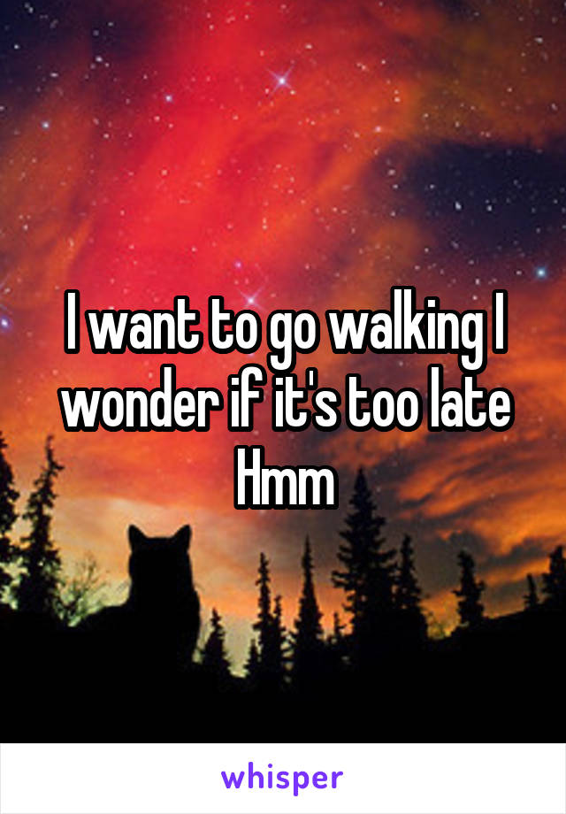 I want to go walking I wonder if it's too late
Hmm