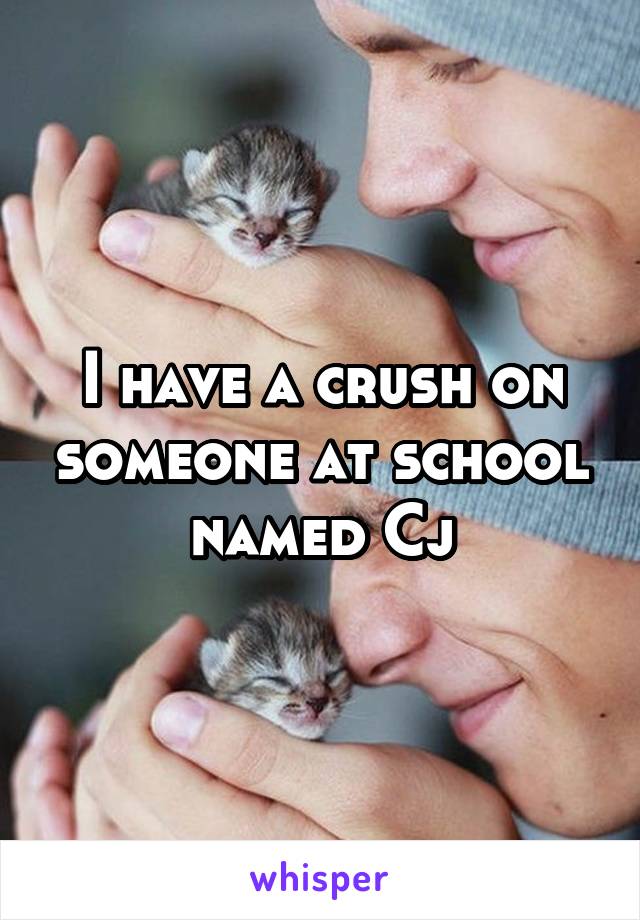 I have a crush on someone at school named Cj