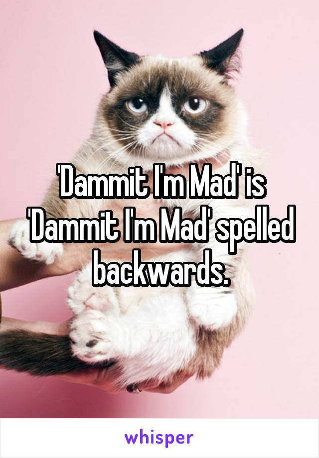 'Dammit I'm Mad' is 'Dammit I'm Mad' spelled backwards.