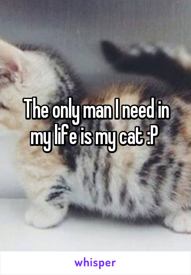 The only man I need in my life is my cat :P 
