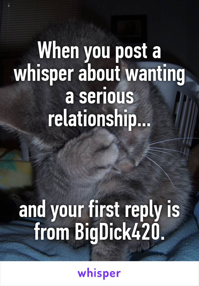 When you post a whisper about wanting a serious relationship...



and your first reply is from BigDick420.