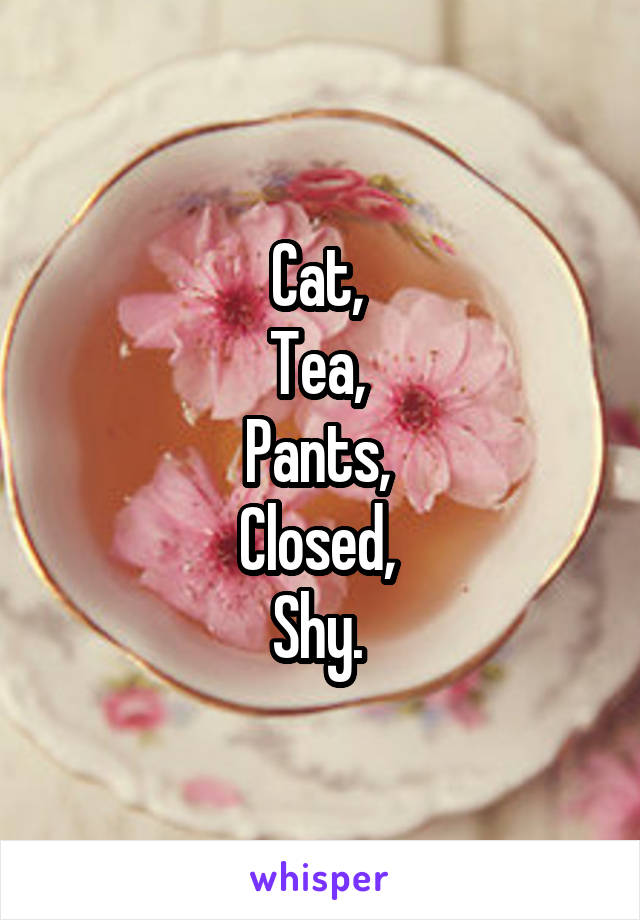 Cat, 
Tea, 
Pants, 
Closed, 
Shy. 
