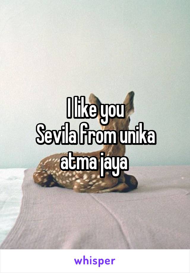I like you
Sevila from unika atma jaya 