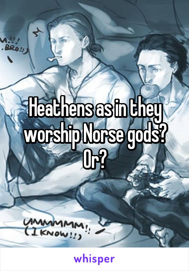 Heathens as in they worship Norse gods? Or?