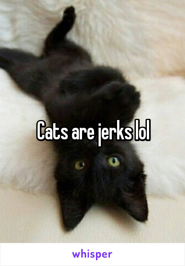 Cats are jerks lol