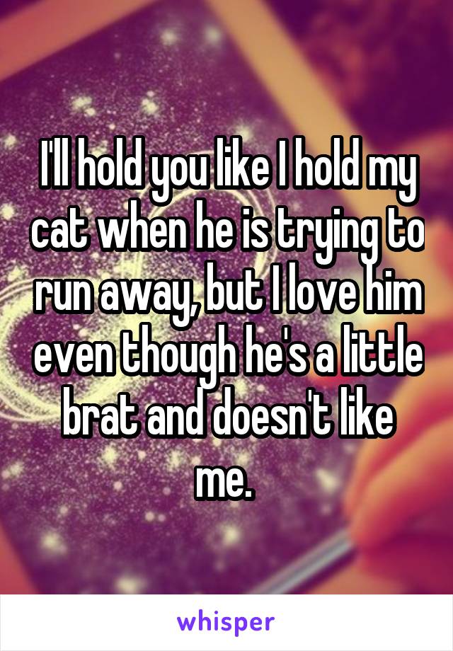 I'll hold you like I hold my cat when he is trying to run away, but I love him even though he's a little brat and doesn't like me. 