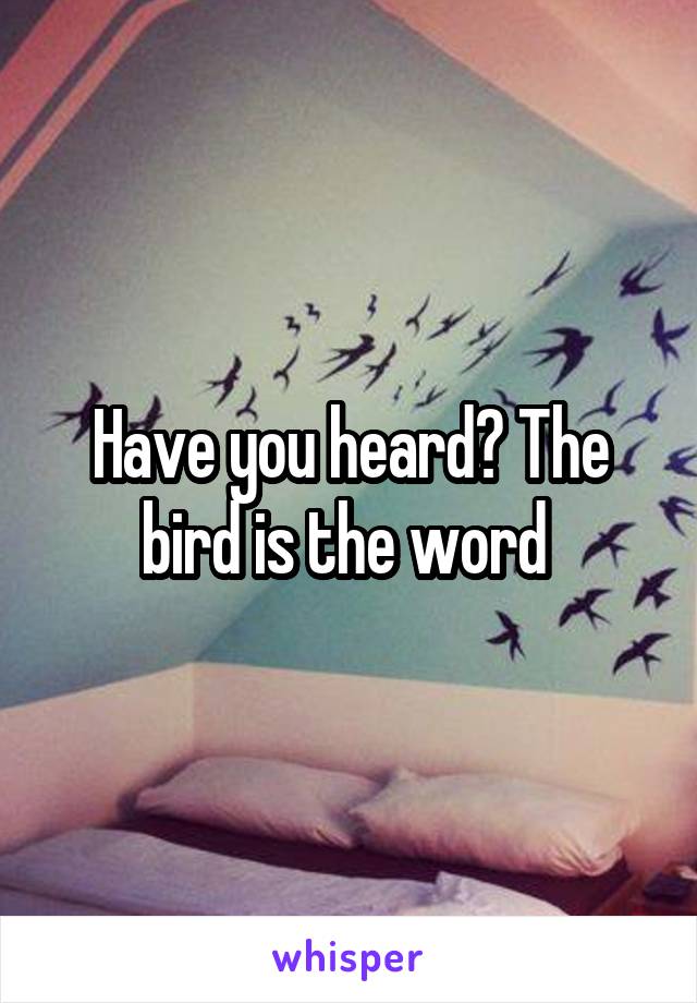 Have you heard? The bird is the word 
