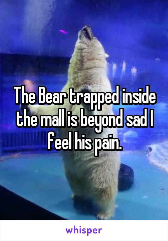 The Bear trapped inside the mall is beyond sad I feel his pain.