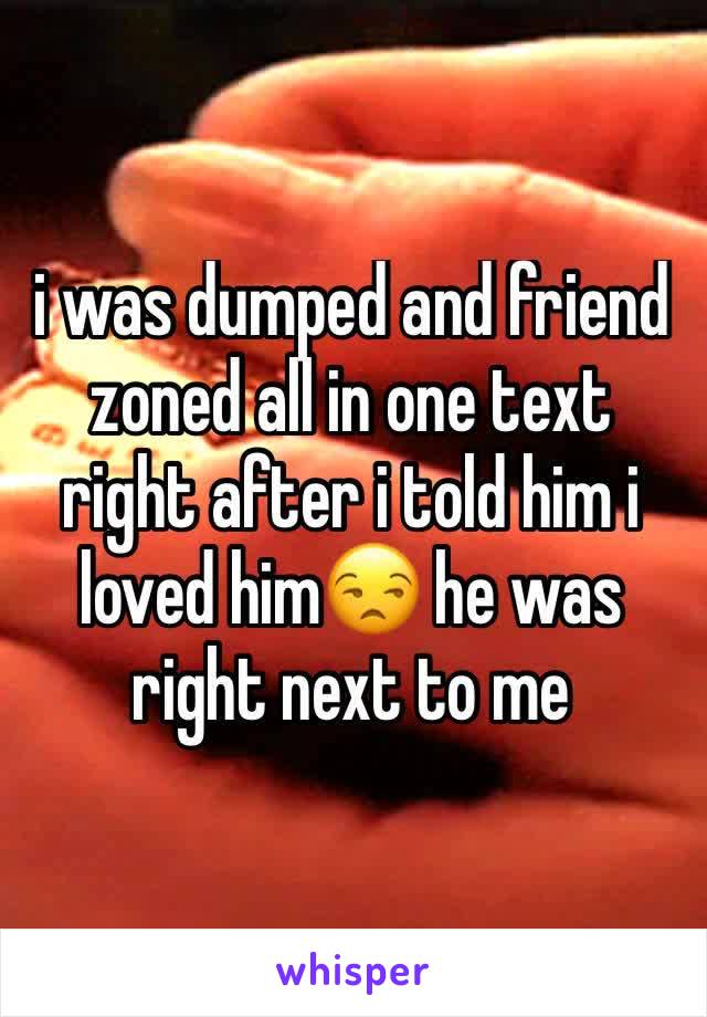 i was dumped and friend zoned all in one text right after i told him i loved him😒 he was right next to me 