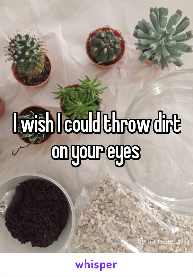 I wish I could throw dirt on your eyes 