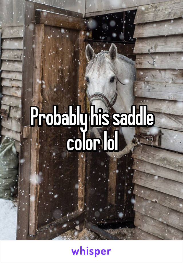 Probably his saddle color lol