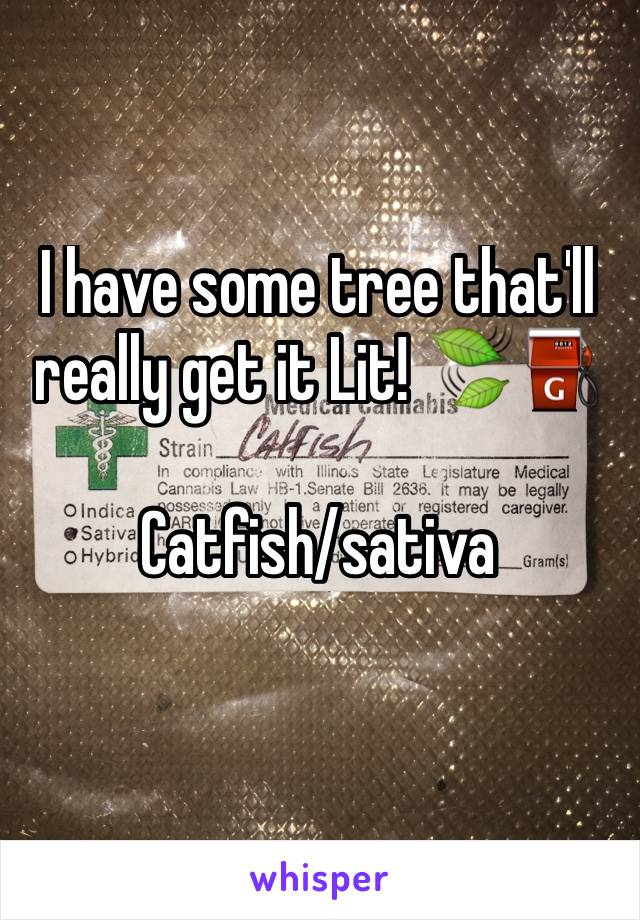 I have some tree that'll really get it Lit! 🍃⛽️️

Catfish/sativa 