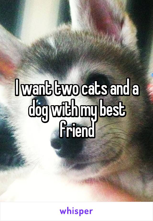 I want two cats and a dog with my best friend