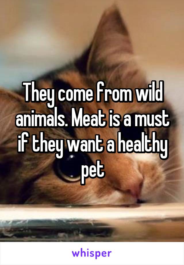 They come from wild animals. Meat is a must if they want a healthy pet