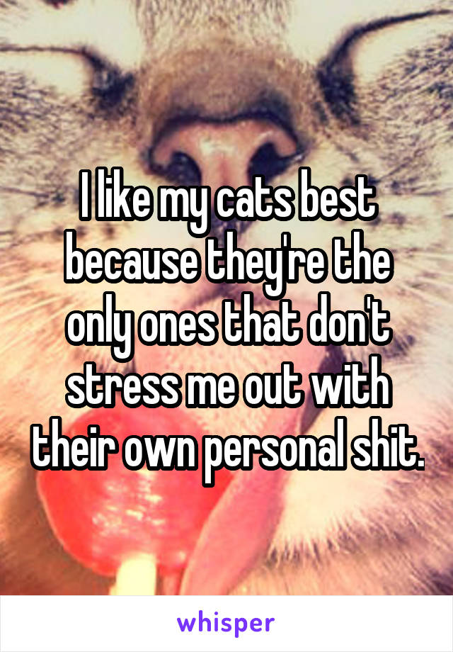 I like my cats best because they're the only ones that don't stress me out with their own personal shit.