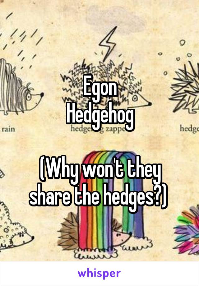 Egon
Hedgehog

(Why won't they share the hedges?) 