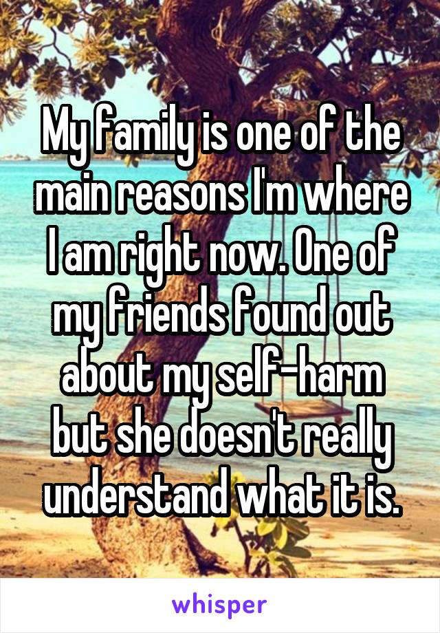 My family is one of the main reasons I'm where I am right now. One of my friends found out about my self-harm but she doesn't really understand what it is.