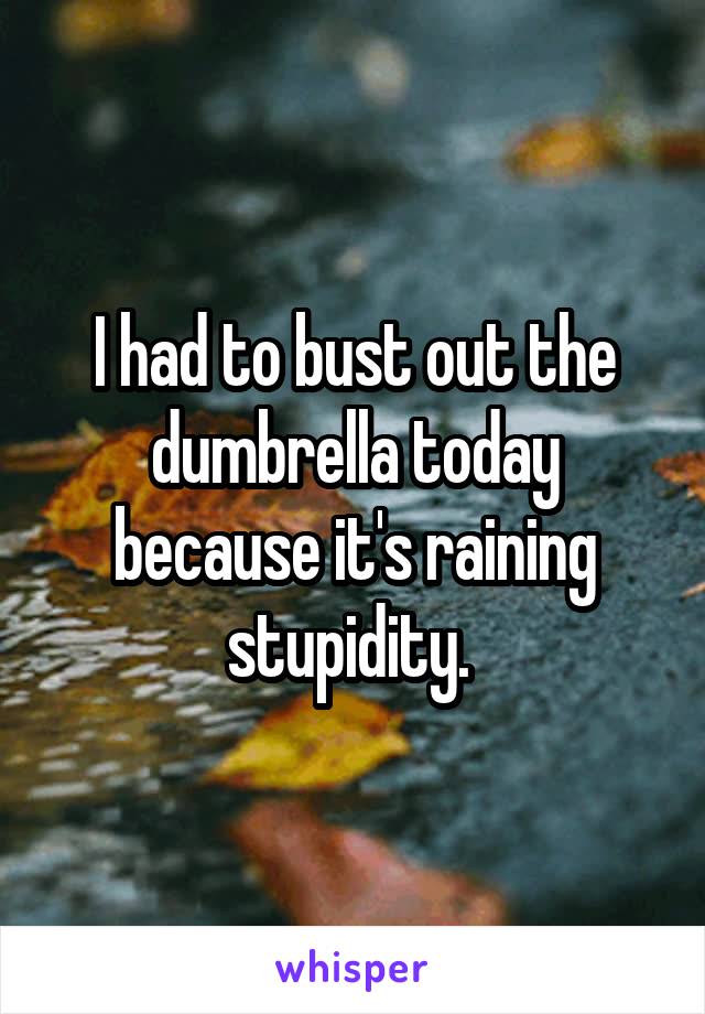 I had to bust out the dumbrella today because it's raining stupidity. 